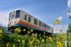 菜の花と山形鉄道