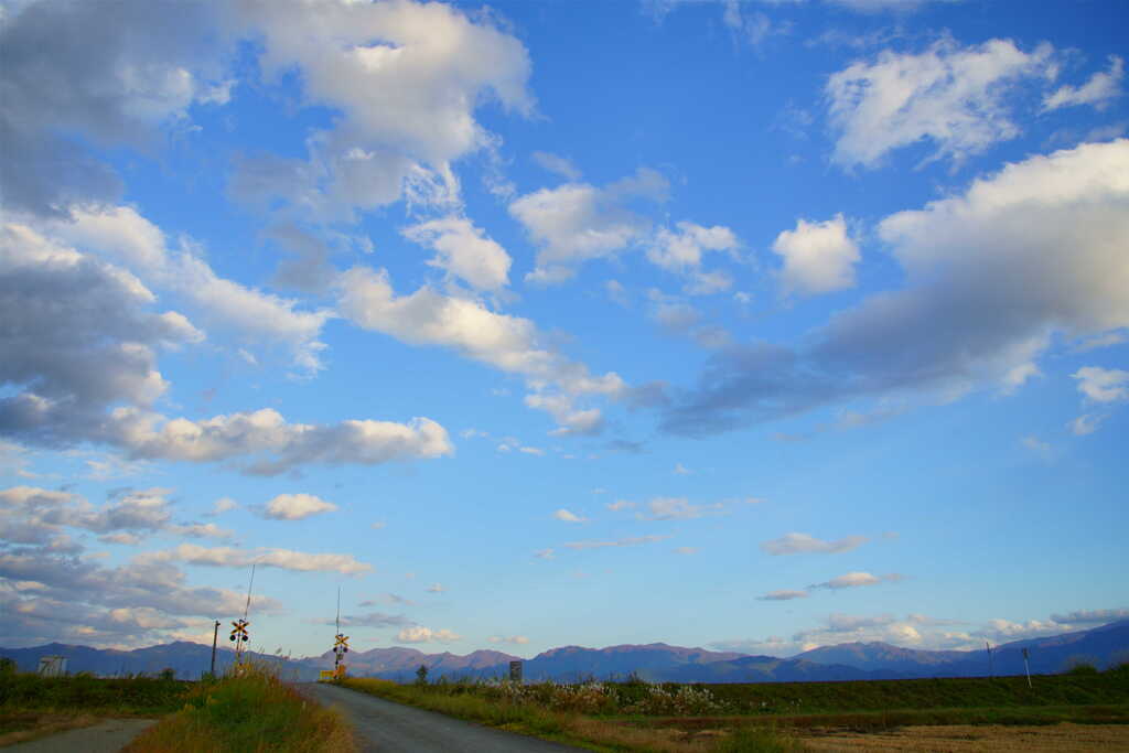 紅葉のはじまる頃