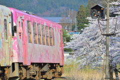 車窓の桜