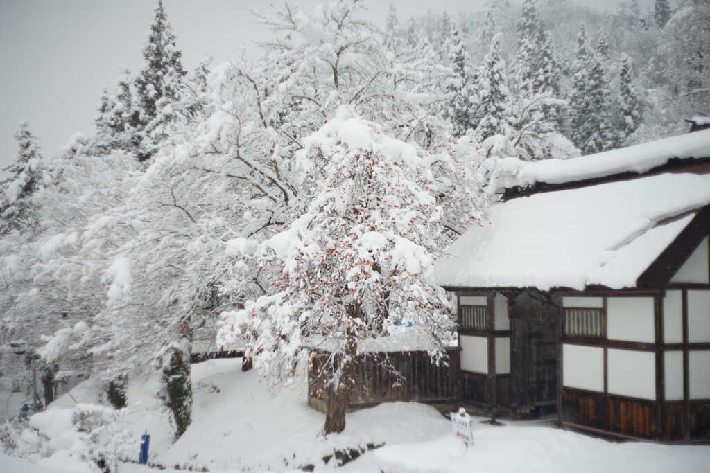 雪景色