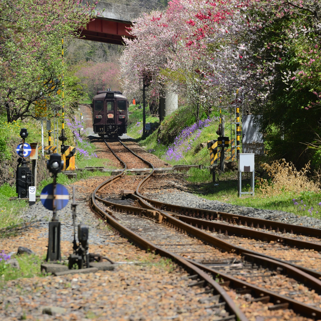 神戸駅から