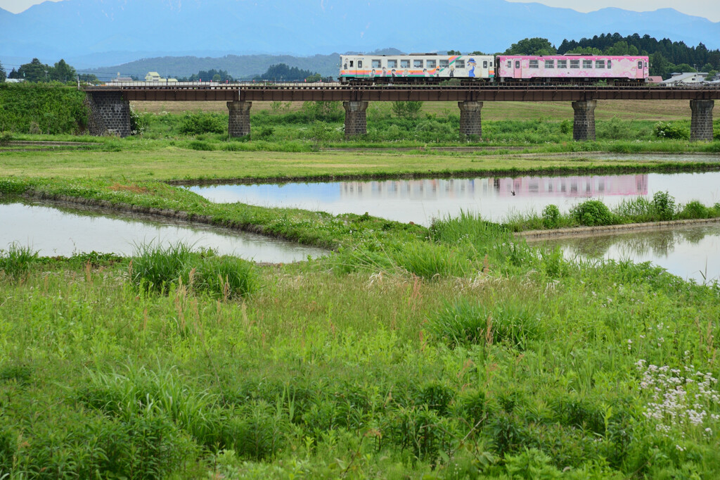 夏の鉄道風景