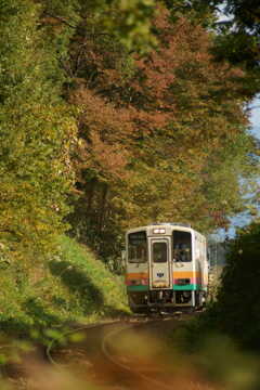 秋の鉄路