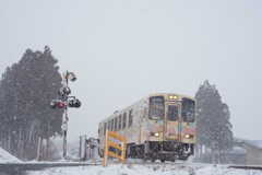 春の雪