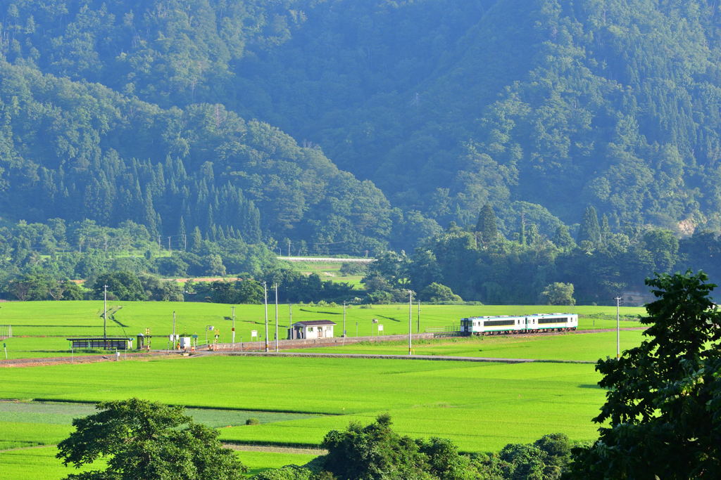 東長沢駅の夏