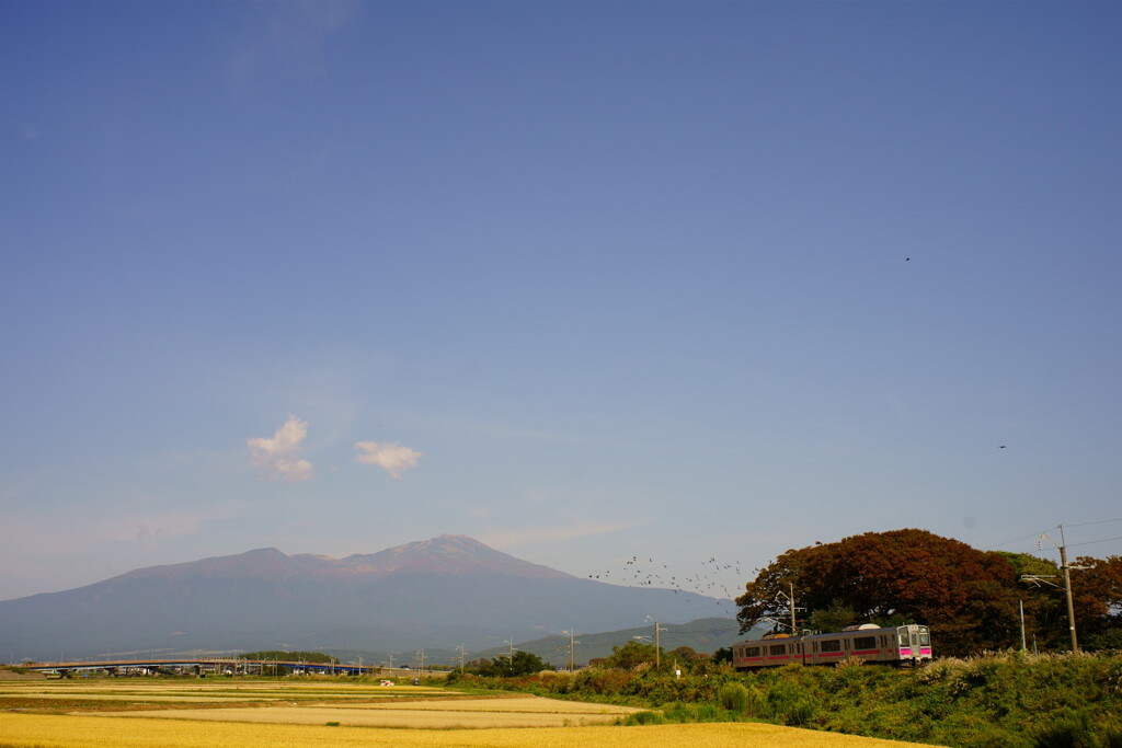 少し前の風景