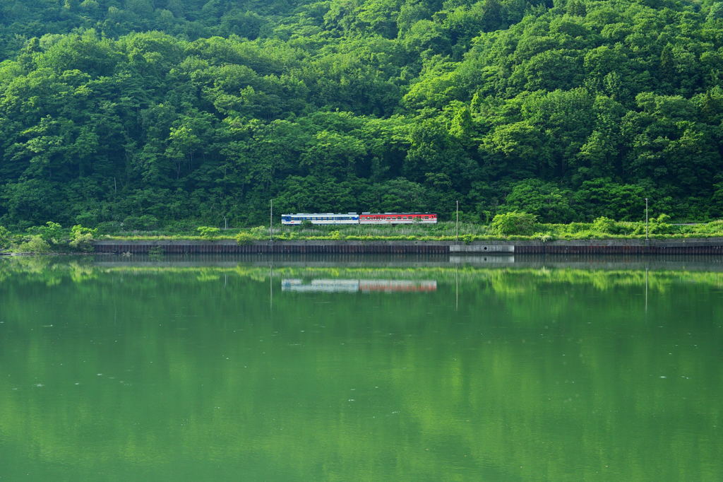 夏色の川