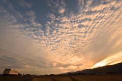 鱗雲夕景