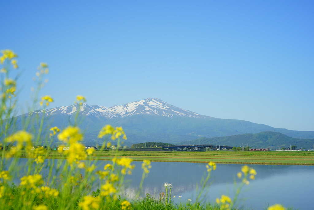 水鏡の頃