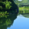夏の川