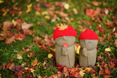 晩秋に伺いました