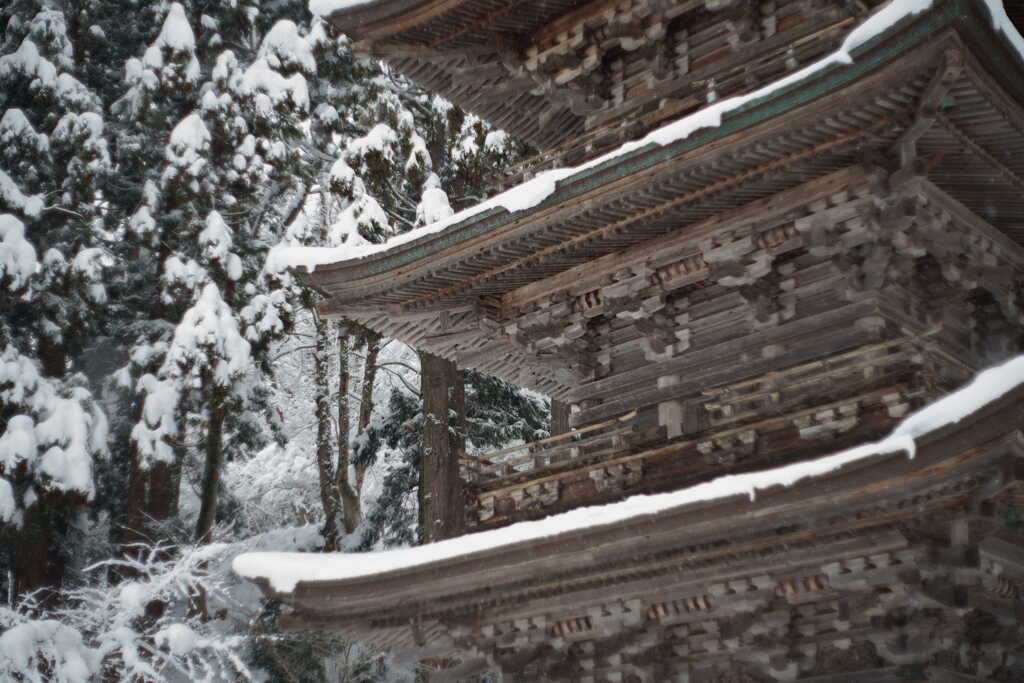 雪に耐える