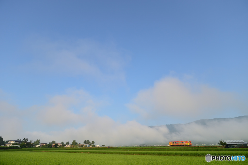 夏の朝
