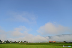 夏の朝