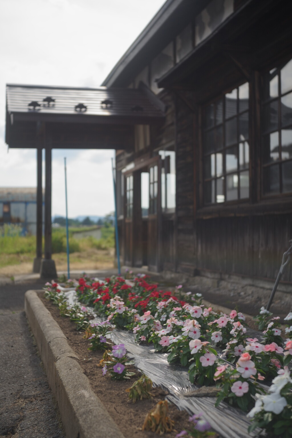 花壇のある駅