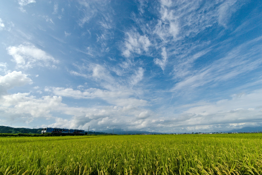 初秋の空