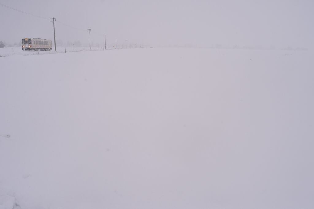 白兎の地吹雪