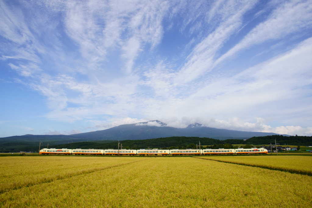いなほと稲穂と鳥海山