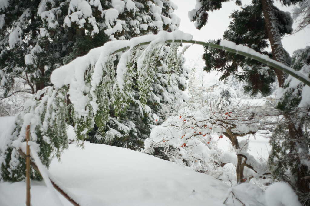 雪の重さ