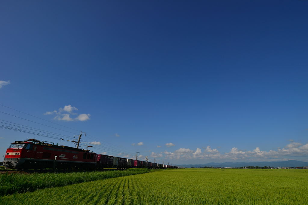 青い空