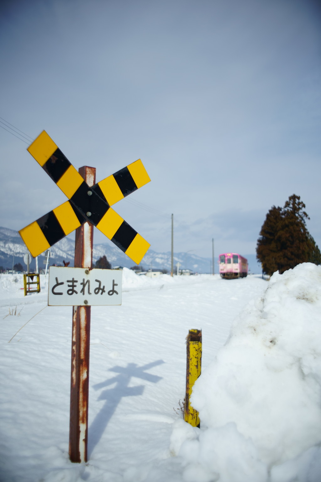 暖冬の踏切