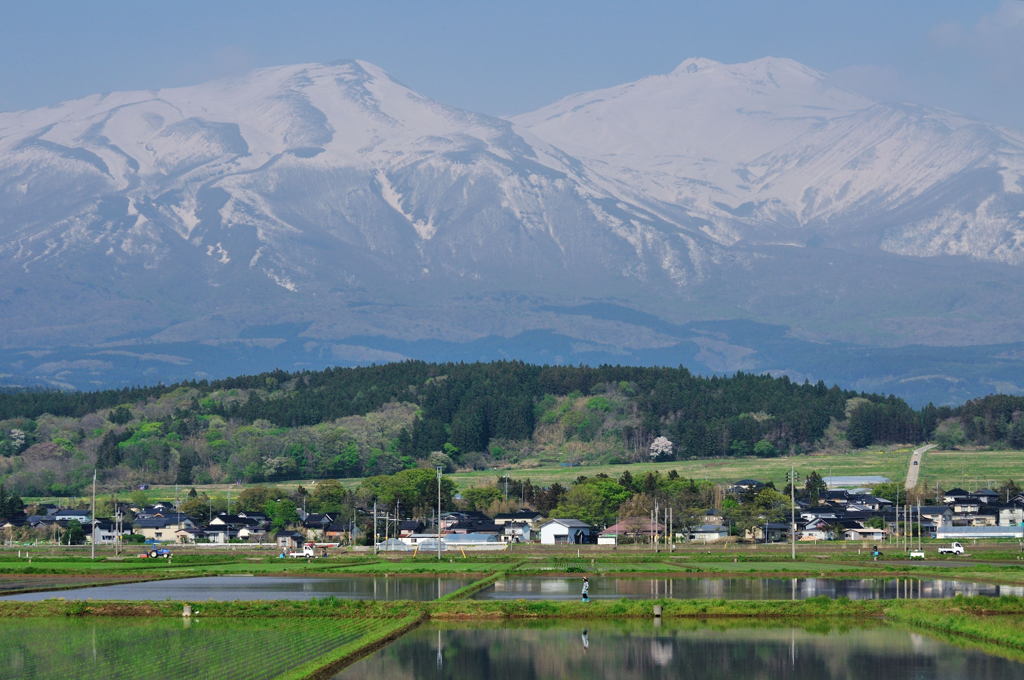 ふもとの田植え