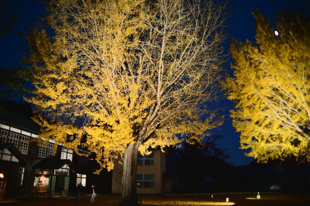 夜の喰丸小学校