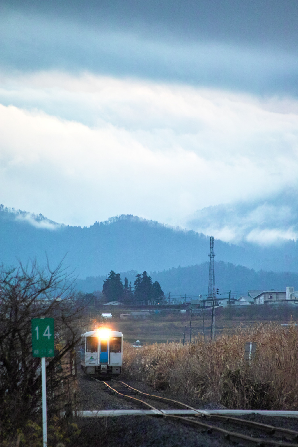 冷たい雨に打たれて