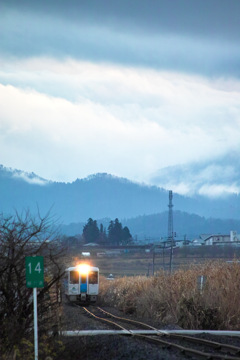冷たい雨に打たれて