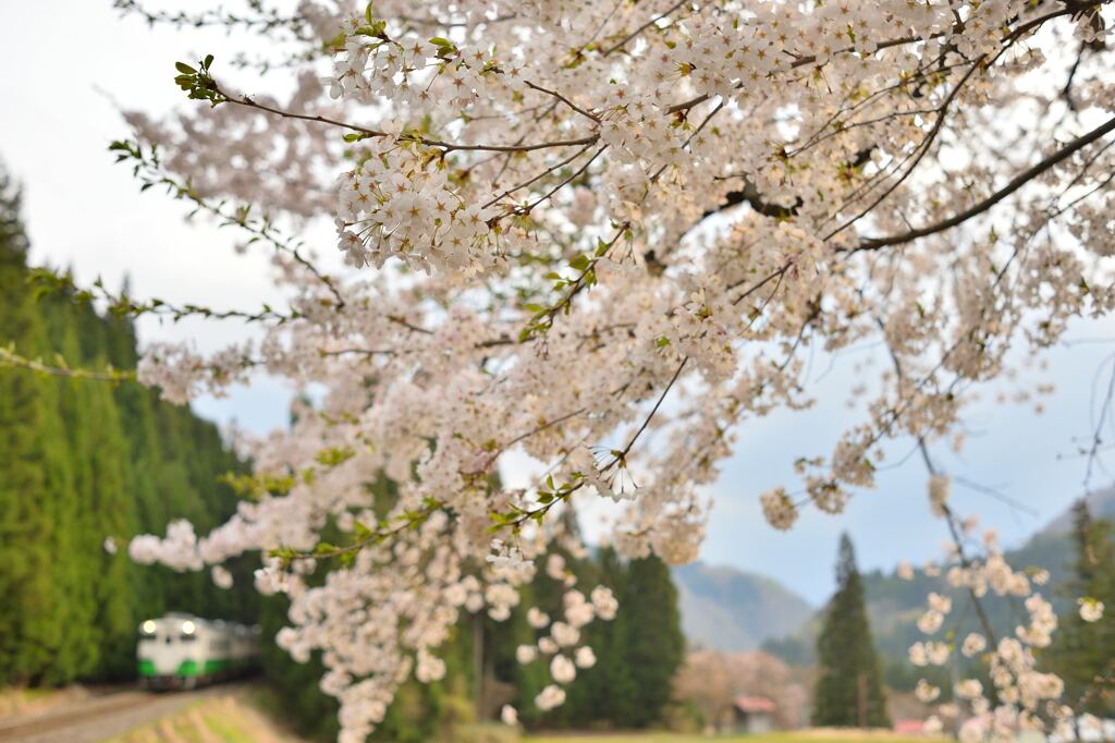 月日は百代の過客にして、行き交う年もまた旅人なり