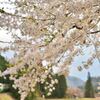 月日は百代の過客にして、行き交う年もまた旅人なり