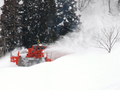 米坂線　特雪3　2008.02.26