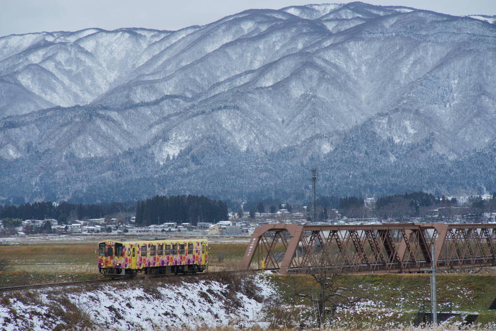 雪が降りてきた