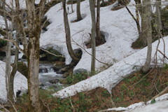 月山の春