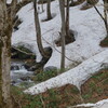 月山の春