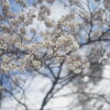 今年も一番かも
