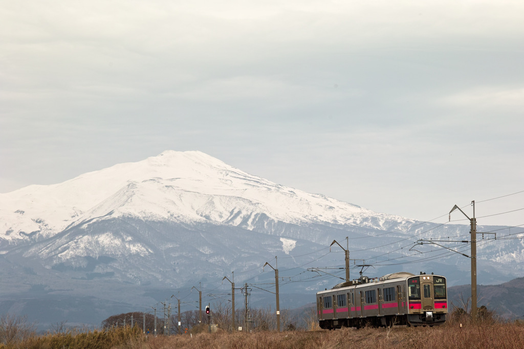 鳥海山の春