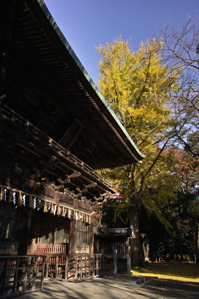 仙台東照宮