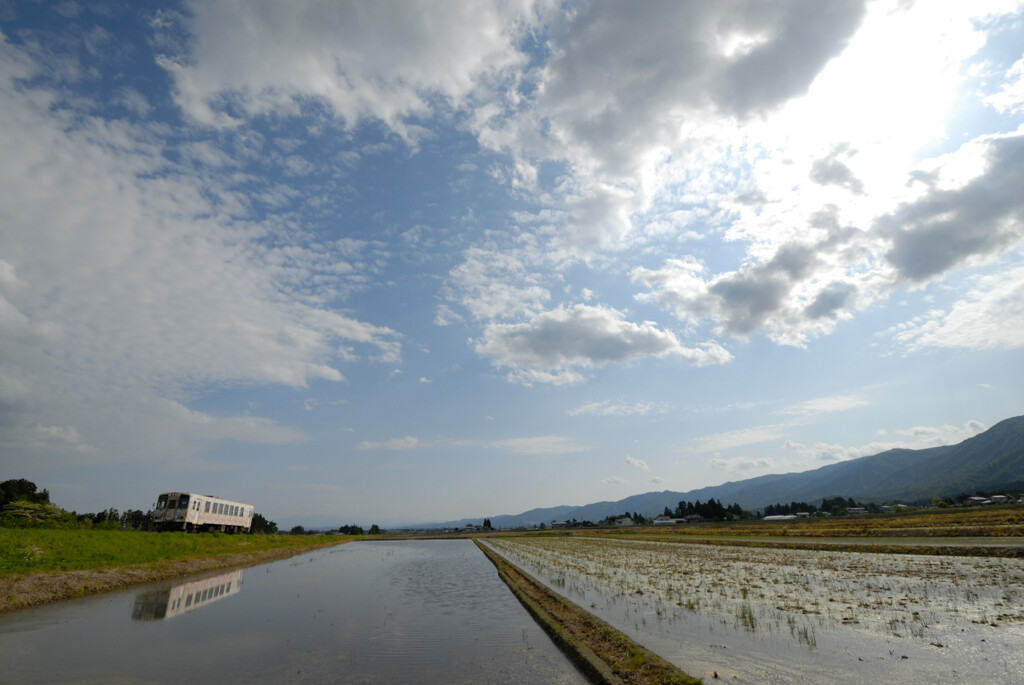 田んぼに映して