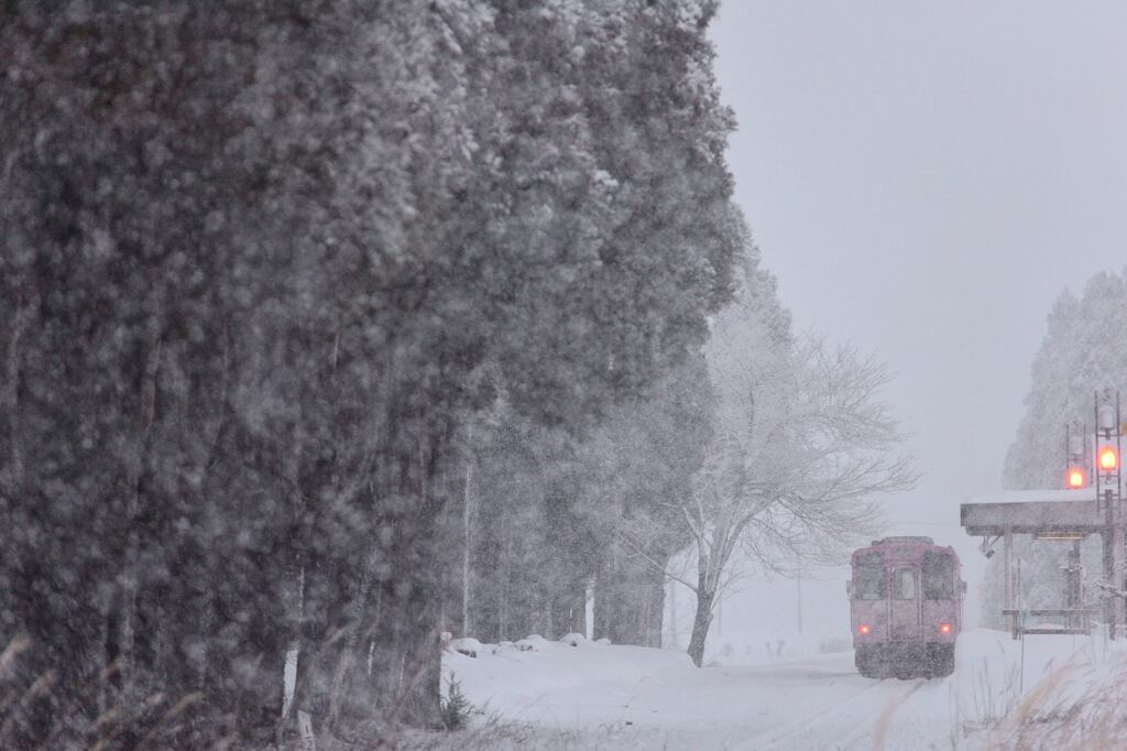 蚕桑の雪