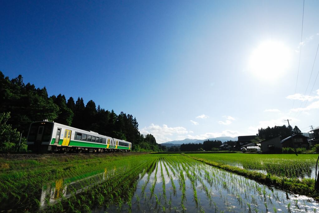 田植えのあとの水鏡