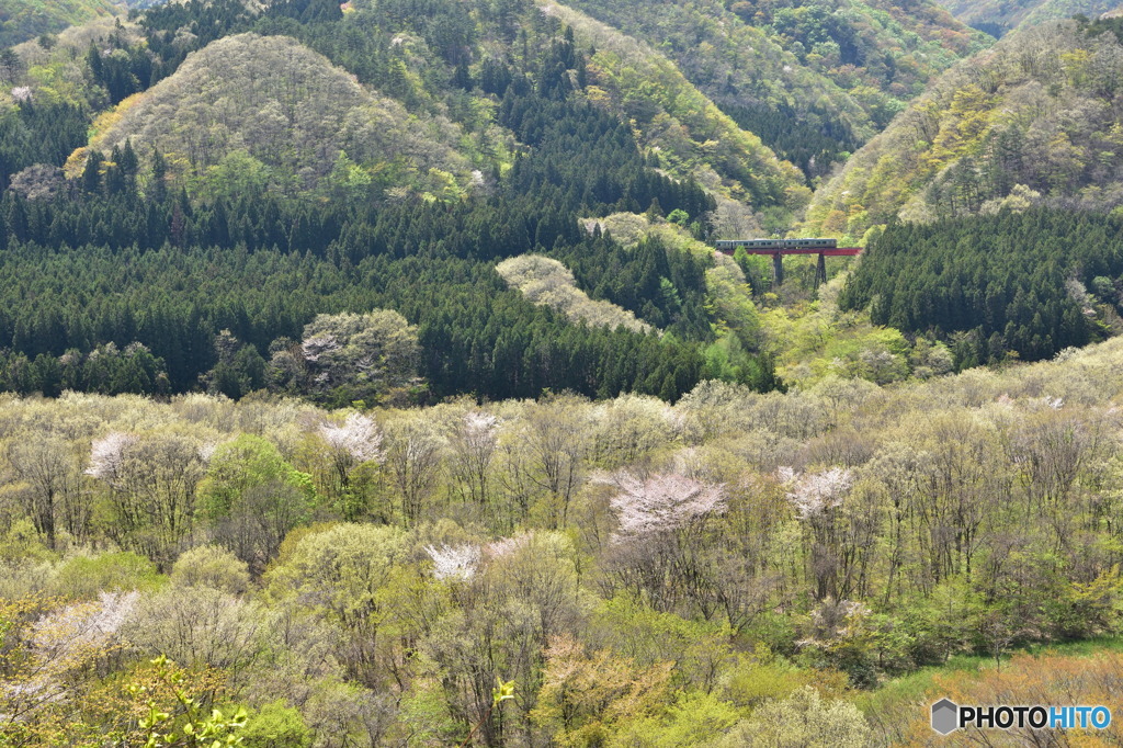 芽吹きの時