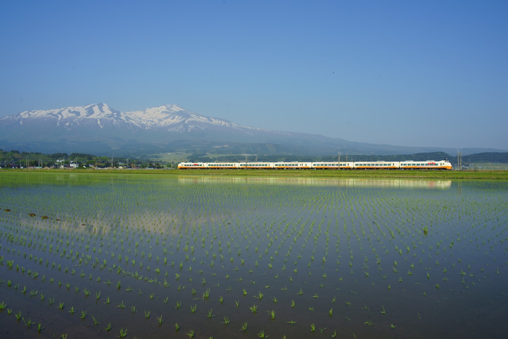 田植えにいなほ