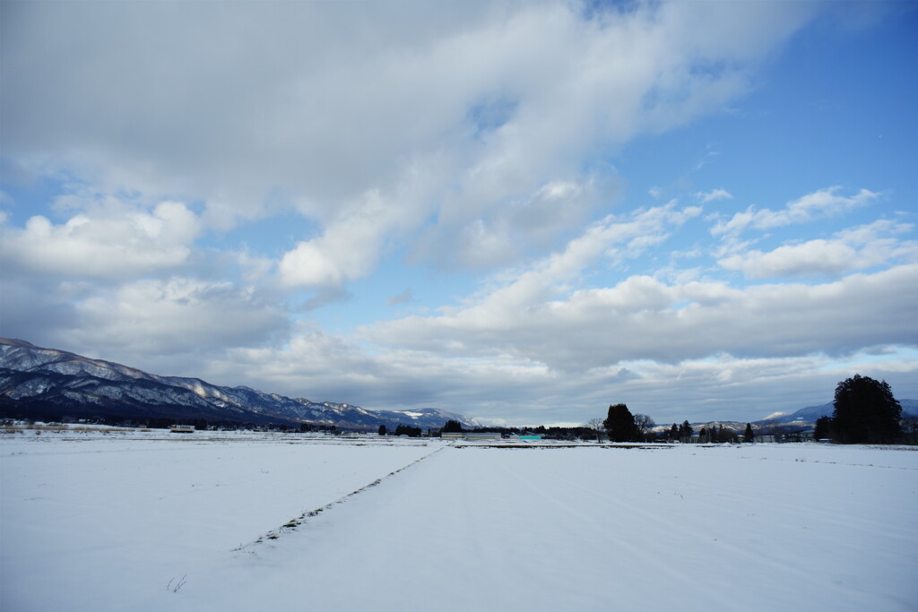 雪原を走る