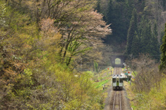 春がやってきた