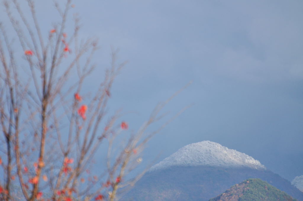 冬がやってきた