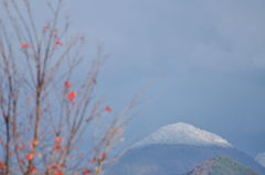 冬がやってきた