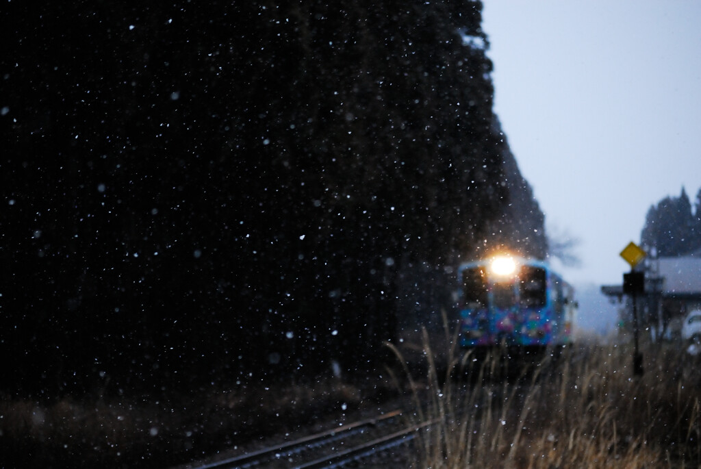 蚕桑の雪