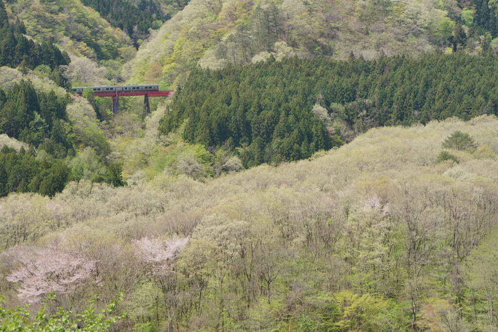 山笑う