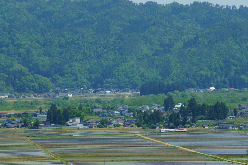 水入れの俯瞰